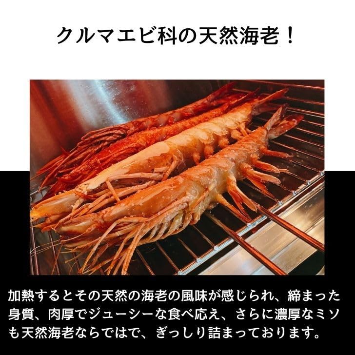 Amazon.co.jp: 【当店直輸入！】超超特大！天然有頭シータイガー えび